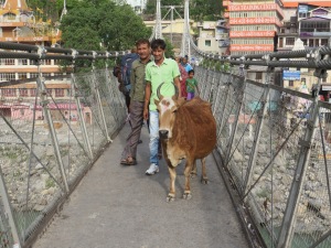 Normal foot traffic on the bridge. Pretty soon here I'm going to have to blog about the cows of India